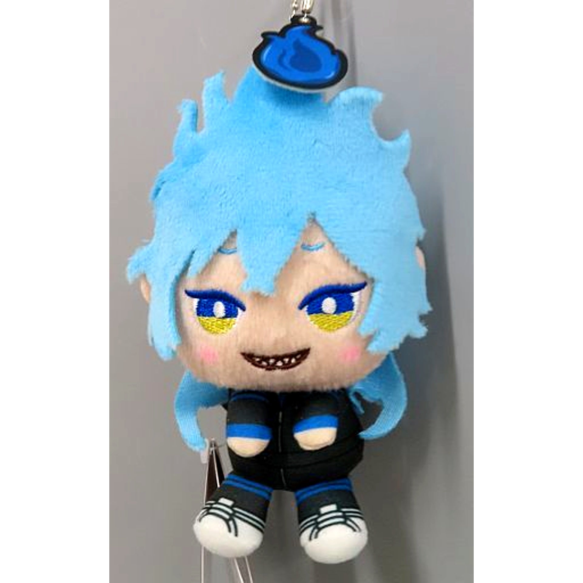 Idia Shroud Disney Twisted-Wonderland & you More Plus Gym Uniform Keychain Mascot Pomefiore Dorm & Ignihyde Dorm [USED]