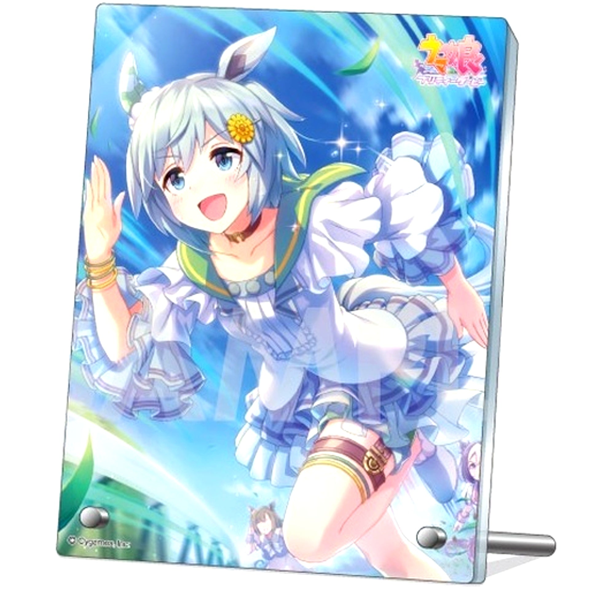 Seiun Sky 1. Umamusume: Pretty Derby Acrylic Plate Vol.4 [USED]