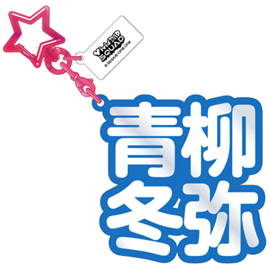 Hatsune Miku: Colorful Stage! Toya Aoyagi 18 Three-Dimensional Name Acrylic Key Keychains [USED]