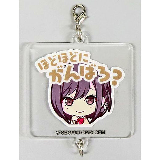 Ena Shinonome Project SEKAI COLORFUL STAGE! feat. Hatsune Miku Acrylic Charm Collection Vol. 4 B Leo/need & Nightcord at 25:00 [USED]