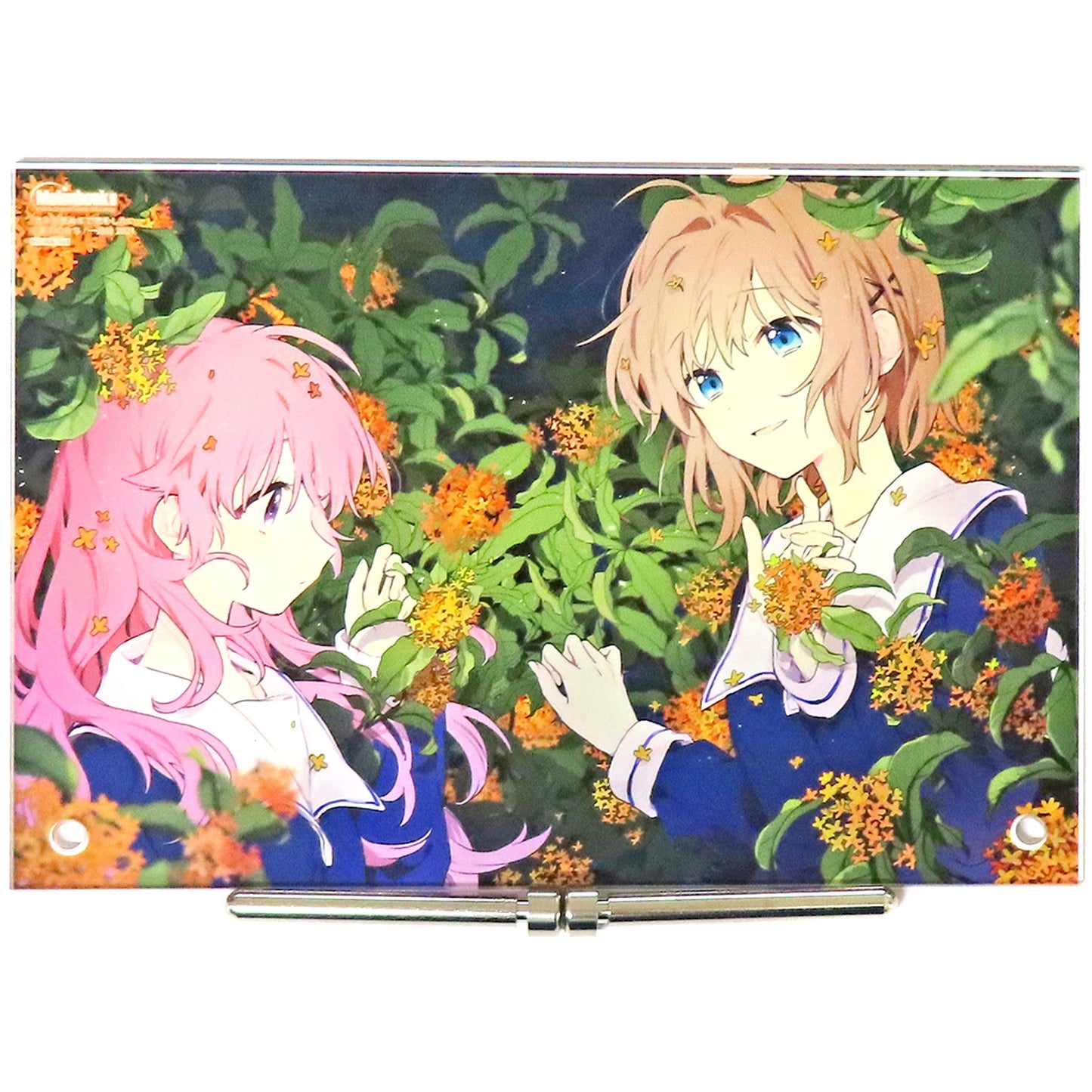 Mimi Kagari and Shiina Totsuki B6 Acrylic Panel My Wish is to Fall In Love Until You Die 12th Melonbooks Manga Festival 2021 Winter Point Exchange Prize [USED]