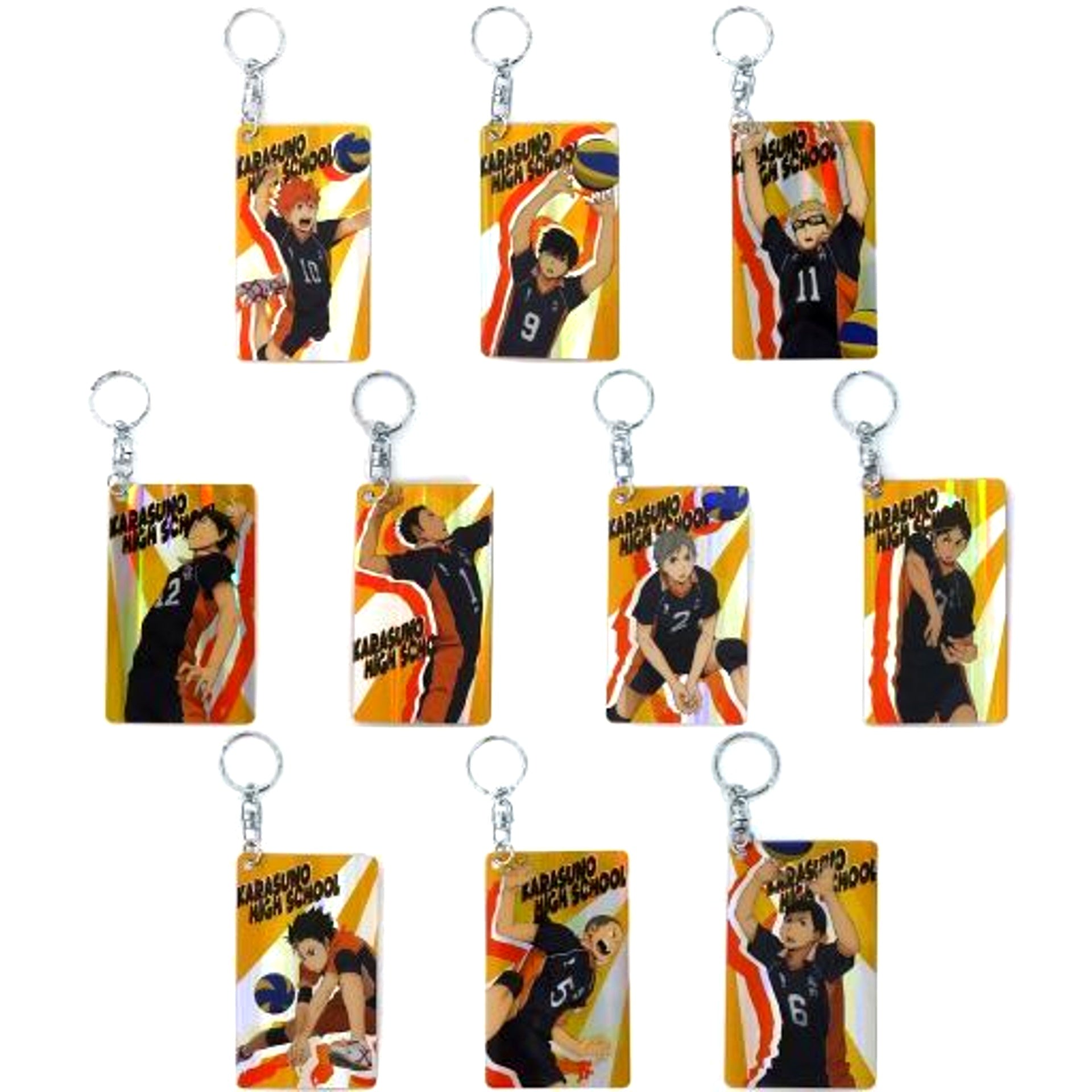Set of 10 Haikyu!! TO THE TOP Hologram Plate Keychain Collection Karasuno High School [USED]