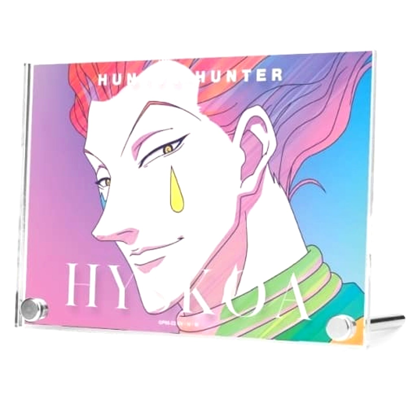 Hisoka Hunter x Hunter Ani-Art clear label Acrylic Art Panel [USED]