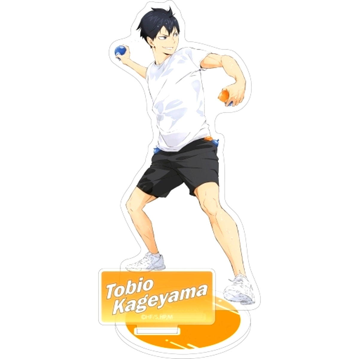 Tobio Kageyama Haikyu!! TO THE TOP Acrylic Stand [USED]