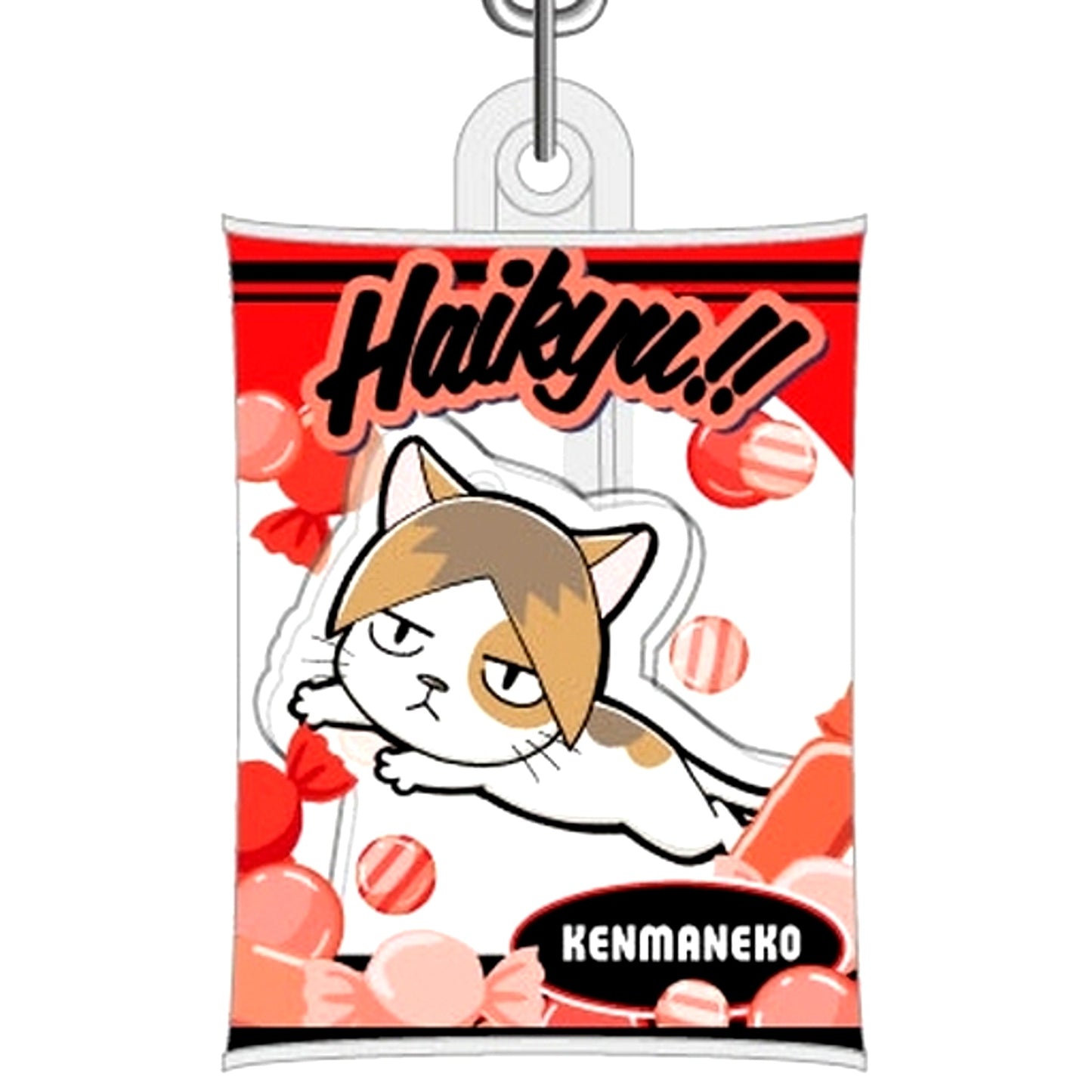 Kenma Kozume Kenma Cat Haikyu!! Air Fuwa Keychain Vol.2 [USED]