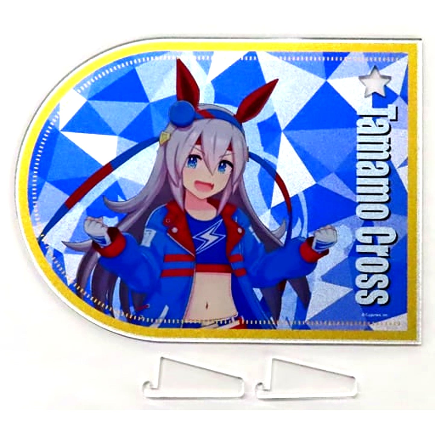 Tamamo Cross Uma Musume: Pretty Derby NAMCO Promotion Acrylic Board Racing Outfit Ver. [USED]