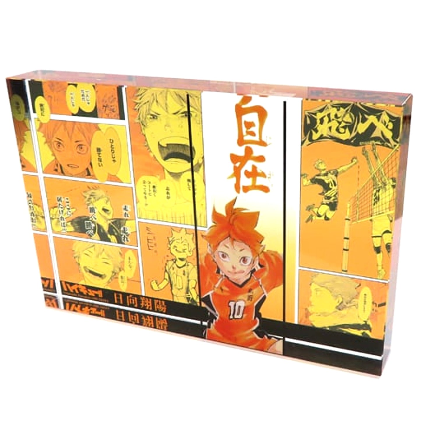 Haikyu!! Shoyo Hinata Heroes Acrylic Block Acrylic Item [USED]