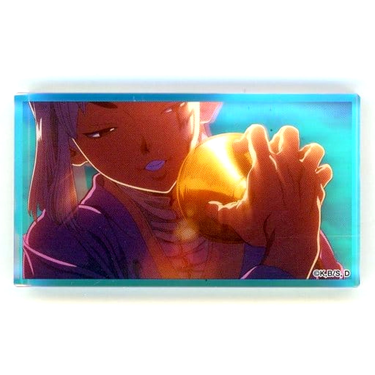 Gen Asagiri Dr. STONE Acrylic Plate Stand DASH STORE Summer 2022 [USED]