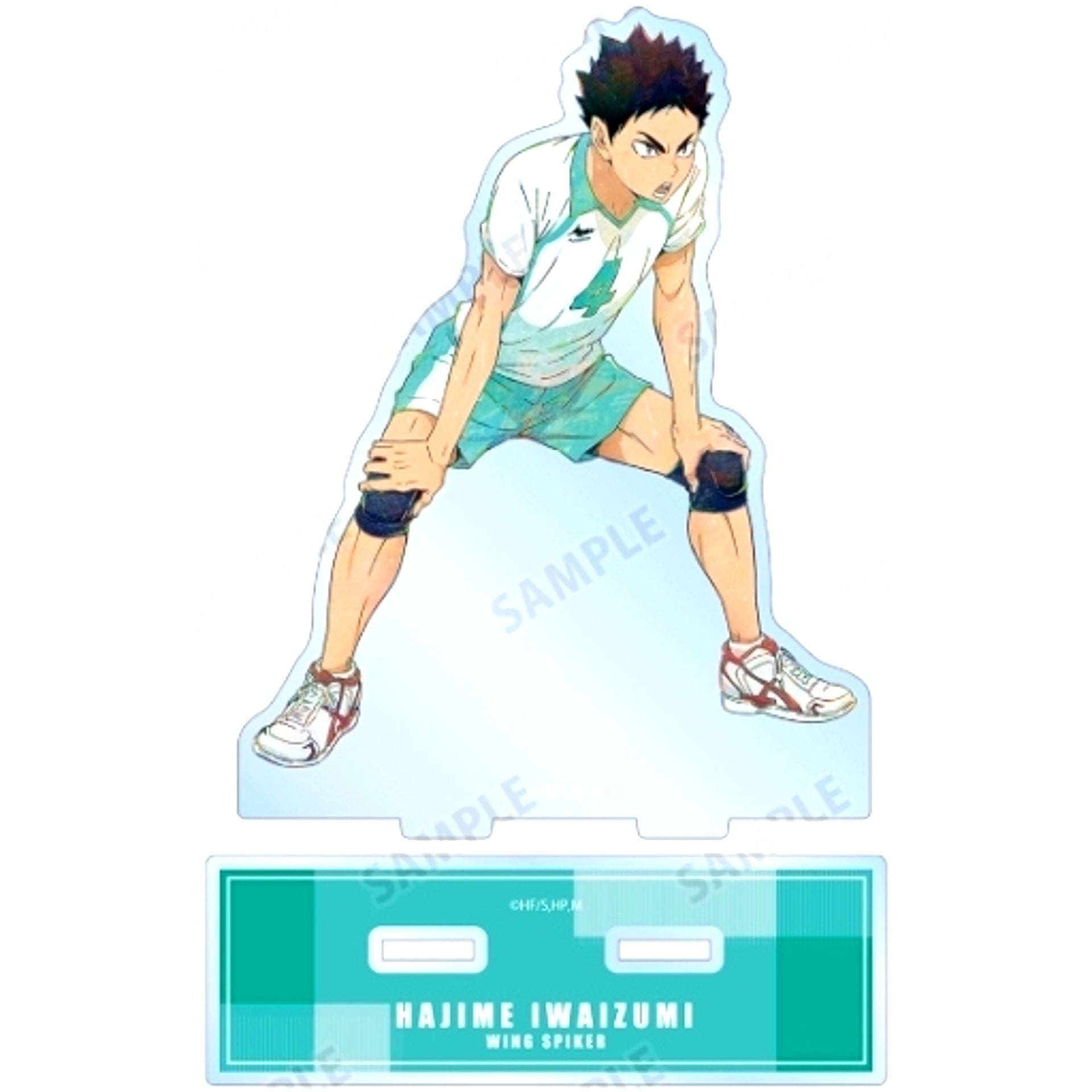 Hajime Iwaizumi Ani-Art 7th BIG Acrylic Stand Haikyu!! [USED]