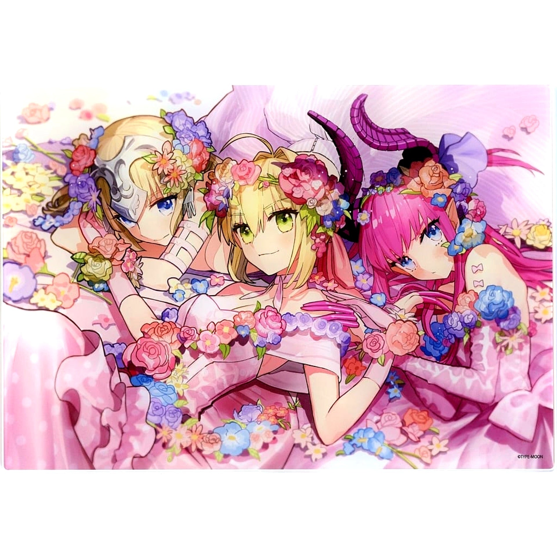 Jeanne d'Arc and Artoria Pendragon and Elisabeth Bathory Fate Ai Wada Arco Fate ART WORKS ANIPLEX+ Limited Bundle Edition Included Bonus Acrylic Board Single [USED]