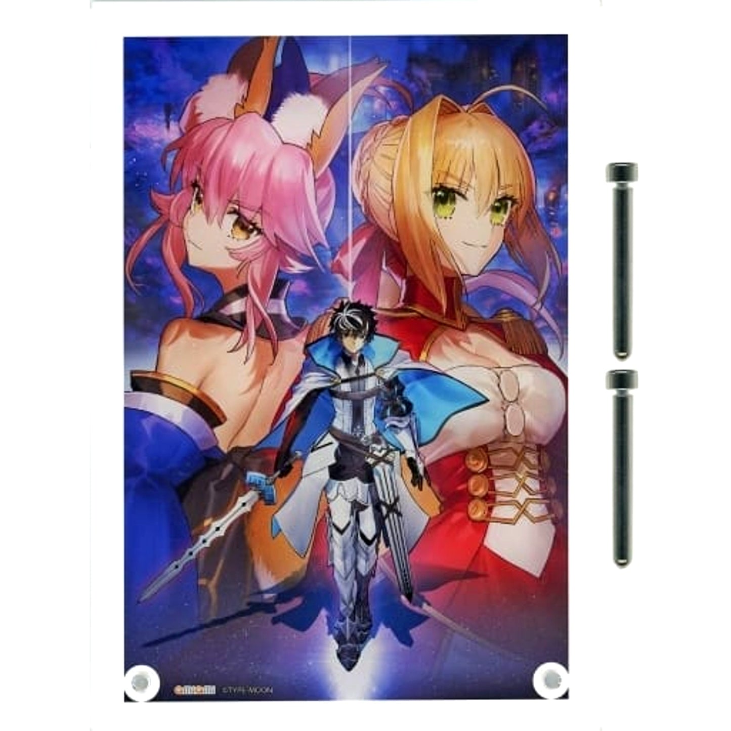 Nero Claudius and Tamamo-no-Mae and Charlemagne Ai - Wada Arco Fate ART WORKS - amiami Pack Bundle Bonus Acrylic Character Plate [USED]
