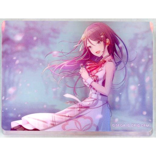 Ichika Hoshino Hatsune Miku: Colorful Stage! Noble Art Collection Wishing for Clear Skies After Training Vol.14 Acrylic Stand [USED]