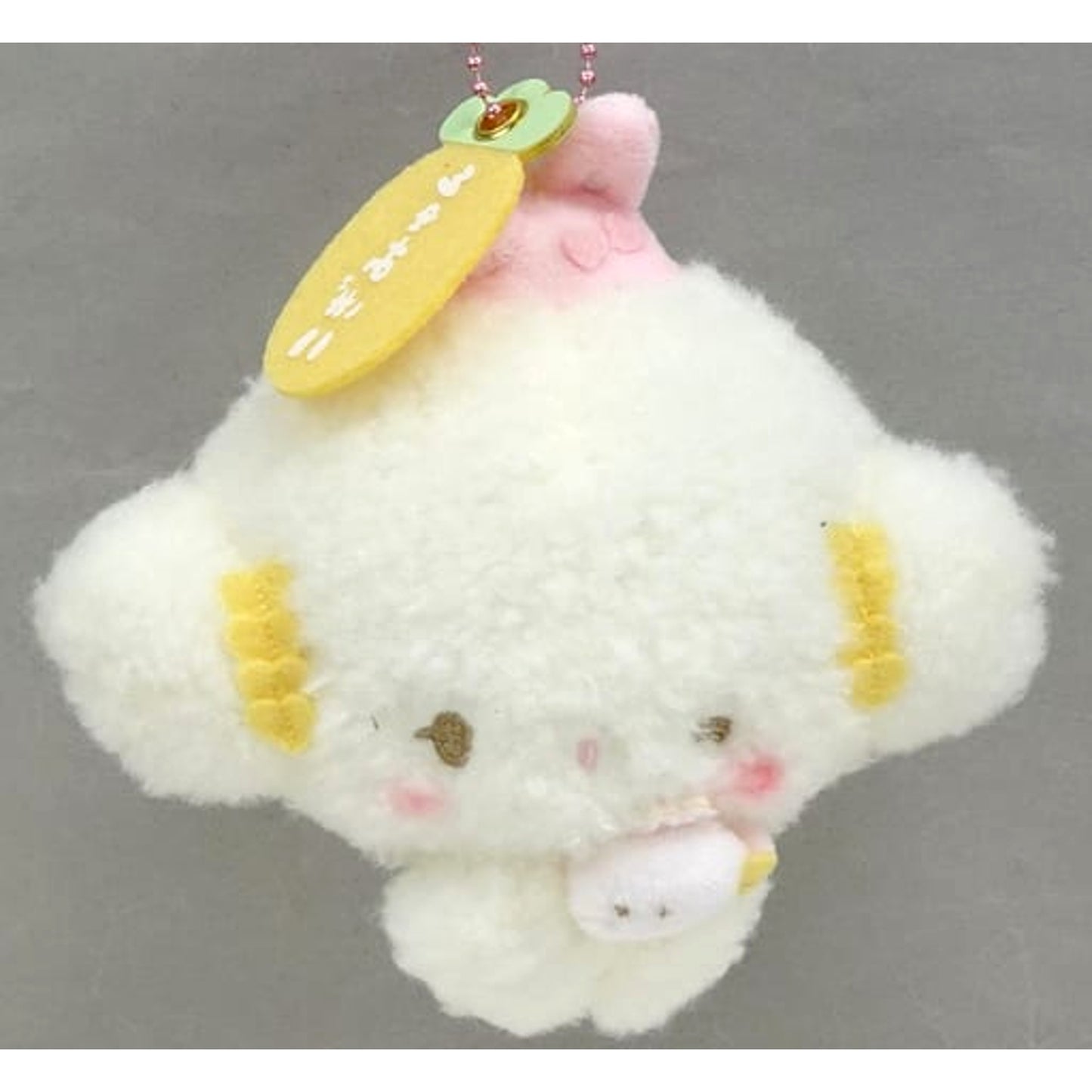 Sanrio Characters Cogimyun Carrot Plate Mascot Holder Keychains [USED]