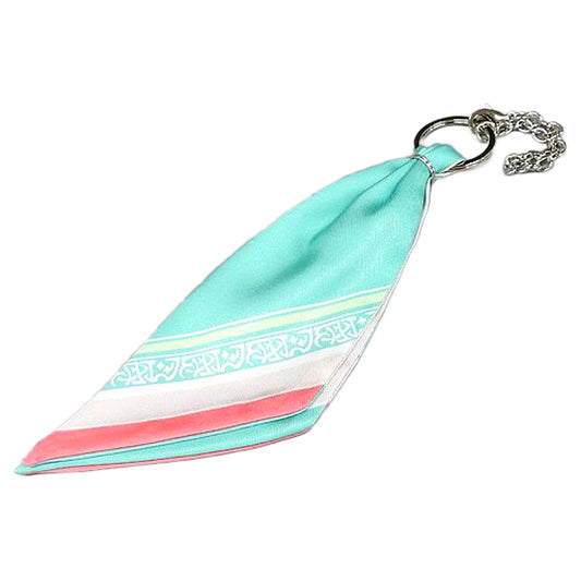Kisa Tachibana JACKJEANNE Scarf Bag Charm Only Shop in HMV Tamasaka Summer Festival Limited Charm [USED]