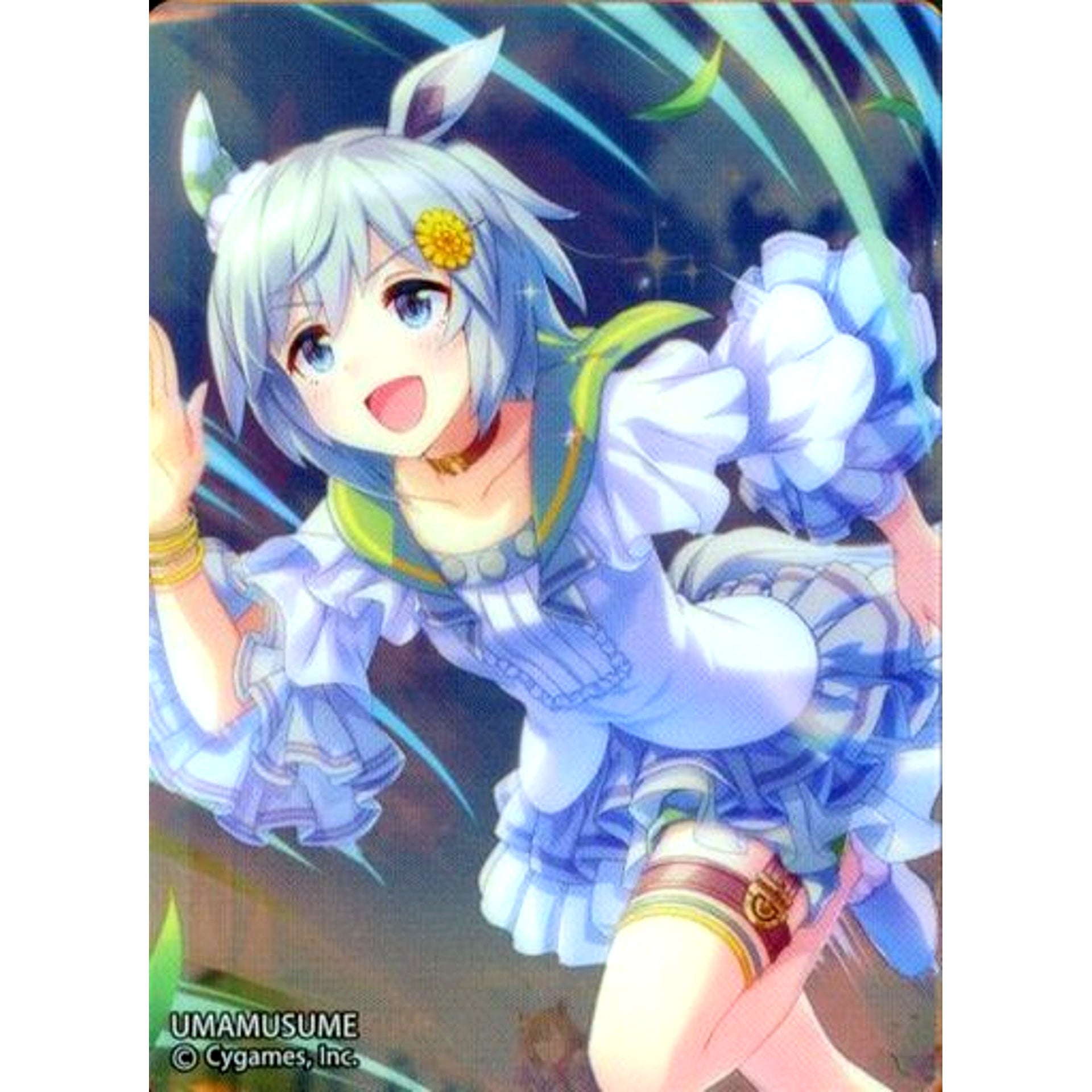 Seiun Sky Uma Musume Pretty Derby Noble Art Collection Vol. 1 [USED]