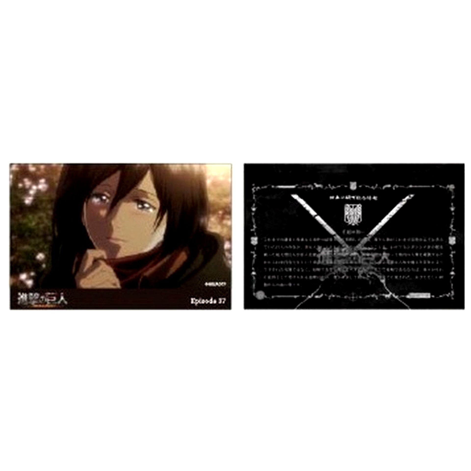 Mikasa Ackerman Attack on Titan Scene Shot Trading Acrylic Block Season 2 B Complete Set [USED]