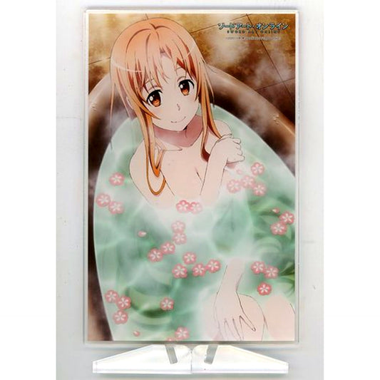 Asuna Acrylic Plate Bundle Bonus for Sword Art Online Anime 10th Anniv Book Set [USED]