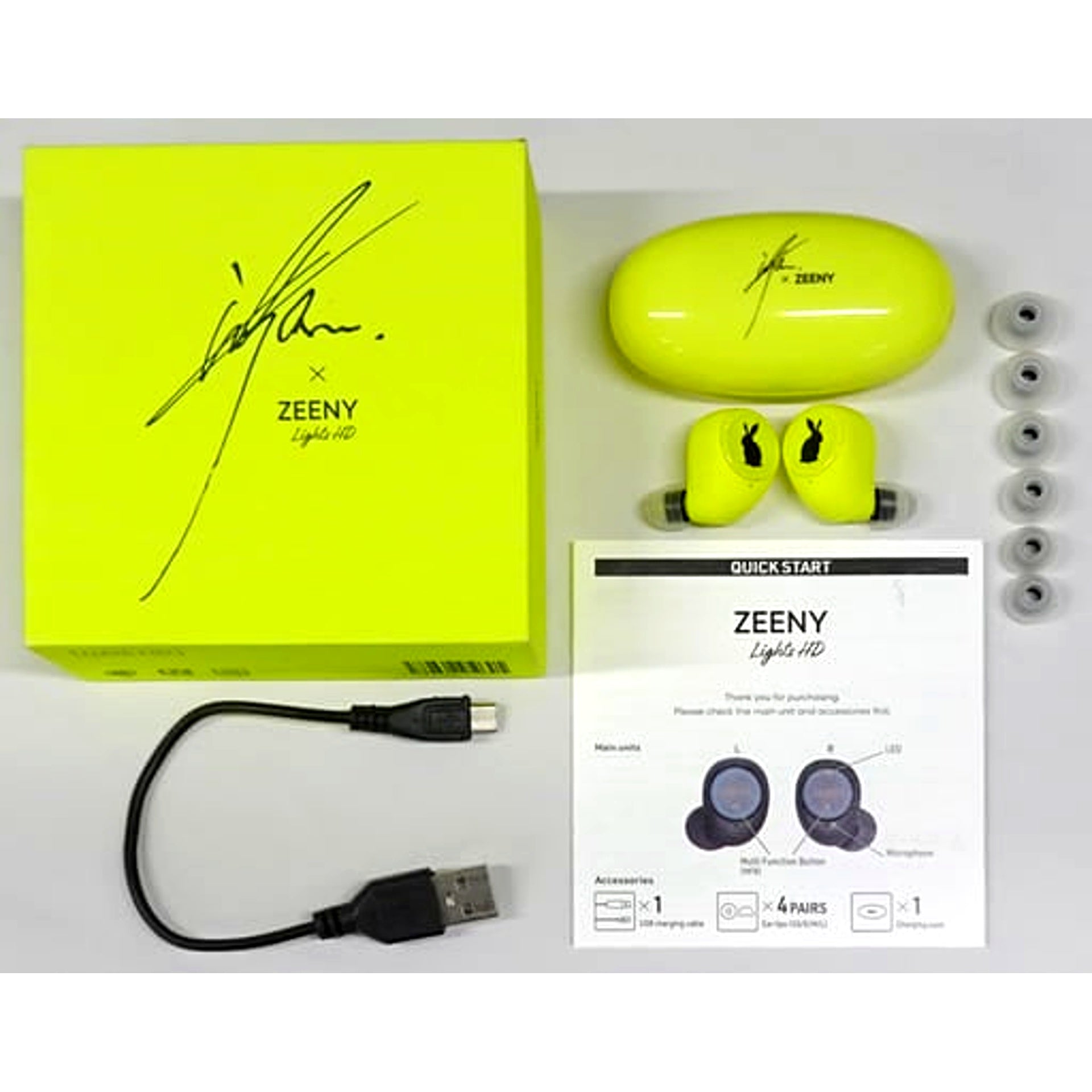 Kisho Taniyama Collaboration Earphones Zeeny Lights HD x Kisho Taniyama [USED]