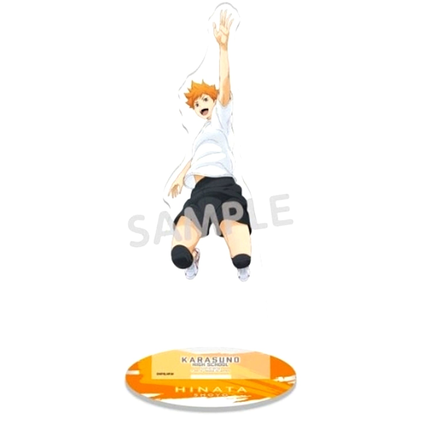 Shoyo Hinata TRAINING MENU Full Body Acrylic Stand Haikyu!! [USED]