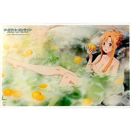 Asuna Acrylic Plate Bundle Bonus for Sword Art Online Anime 10th Anniv Book Animate Limited Set [USED]