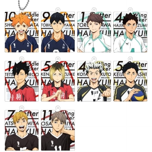 Shoyo Hinata & Others Haikyu!! All 10 Types Set Acrylic Keychain [USED]