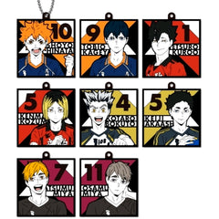 Set of 8 Haikyu!! Rubber Mascot [USED]