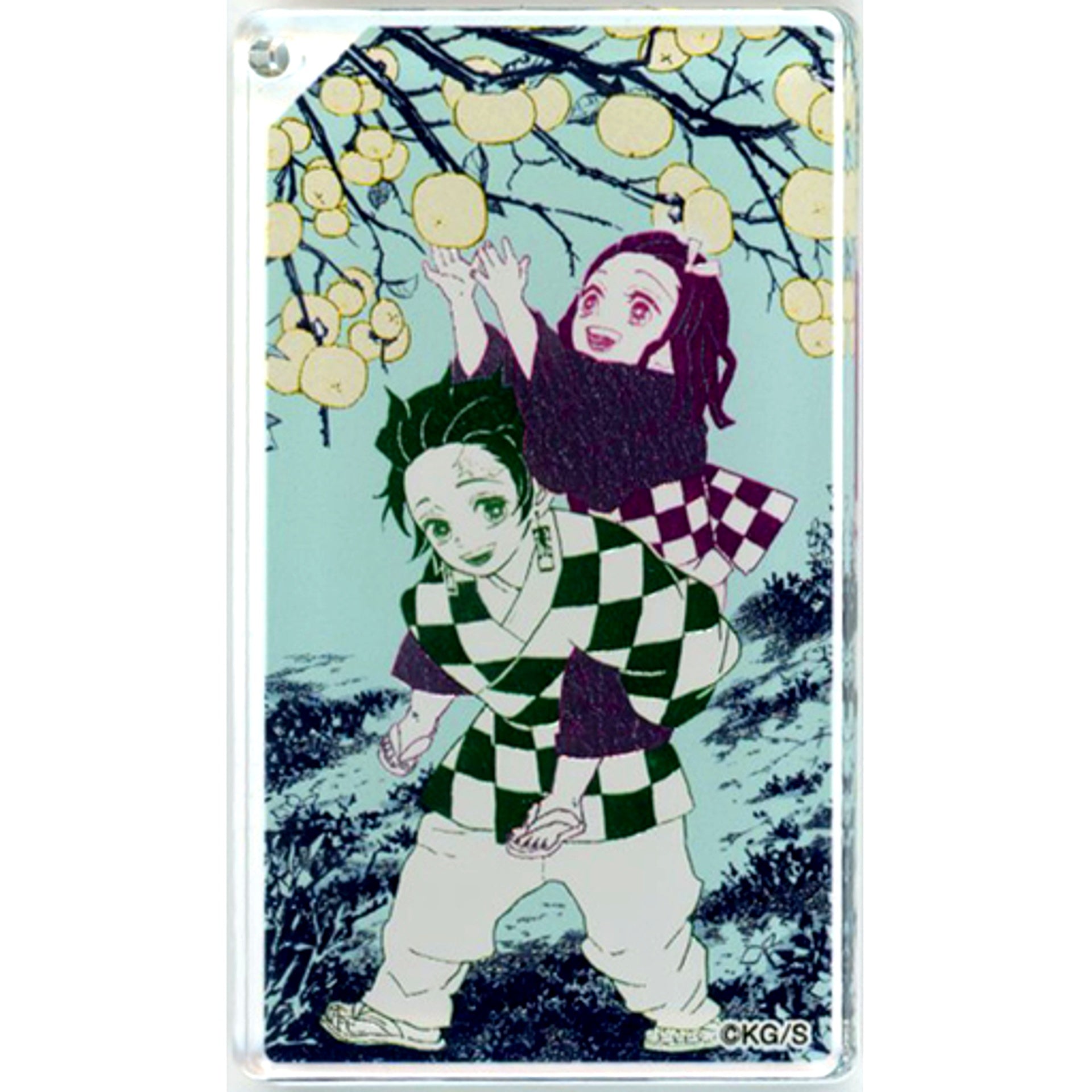 Tanjiro Kamado & Nezuko Kamado Full Body Demon Slayer Koyoharu Gotouge Exhibition Acrylic Keychain Collection Brothers and Sisters [USED]