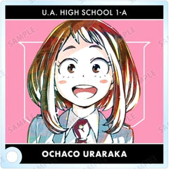 My Hero Academia Ochaco Uraraka Trading Ani-Art Series 4 Vol.2 Acrylic Stand Panel Ver A Acrylic Stands [USED]