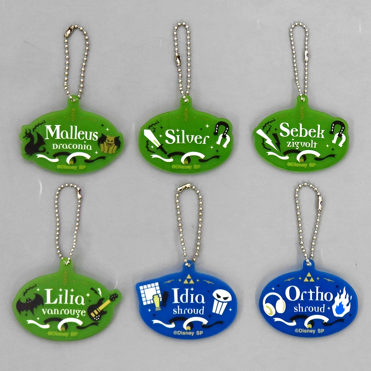 Set of 6 Disney Twisted Wonderland 3rd Anniversary Fair Name Acrylic Keychain Collection Vol.3 [USED]
