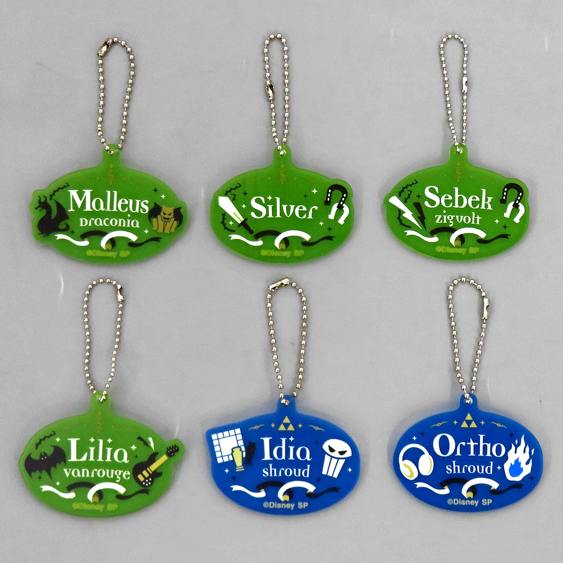 Set of 6 Disney Twisted Wonderland 3rd Anniversary Fair Name Acrylic Keychain Collection Vol.3 [USED]