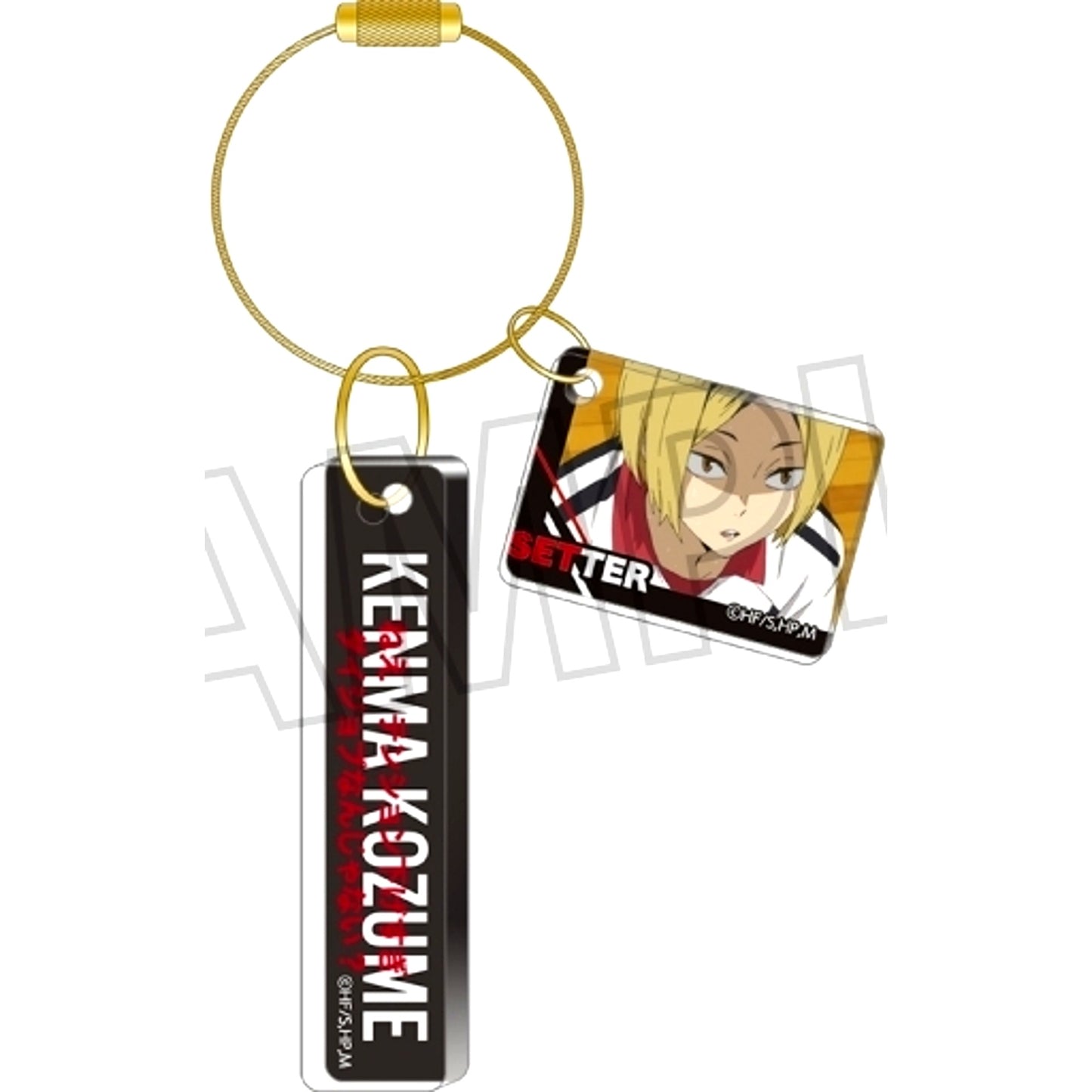 Kenma Kozume Haikyu!! TO THE TOP Famous Quote Plate Collection Nekoma High School [USED]