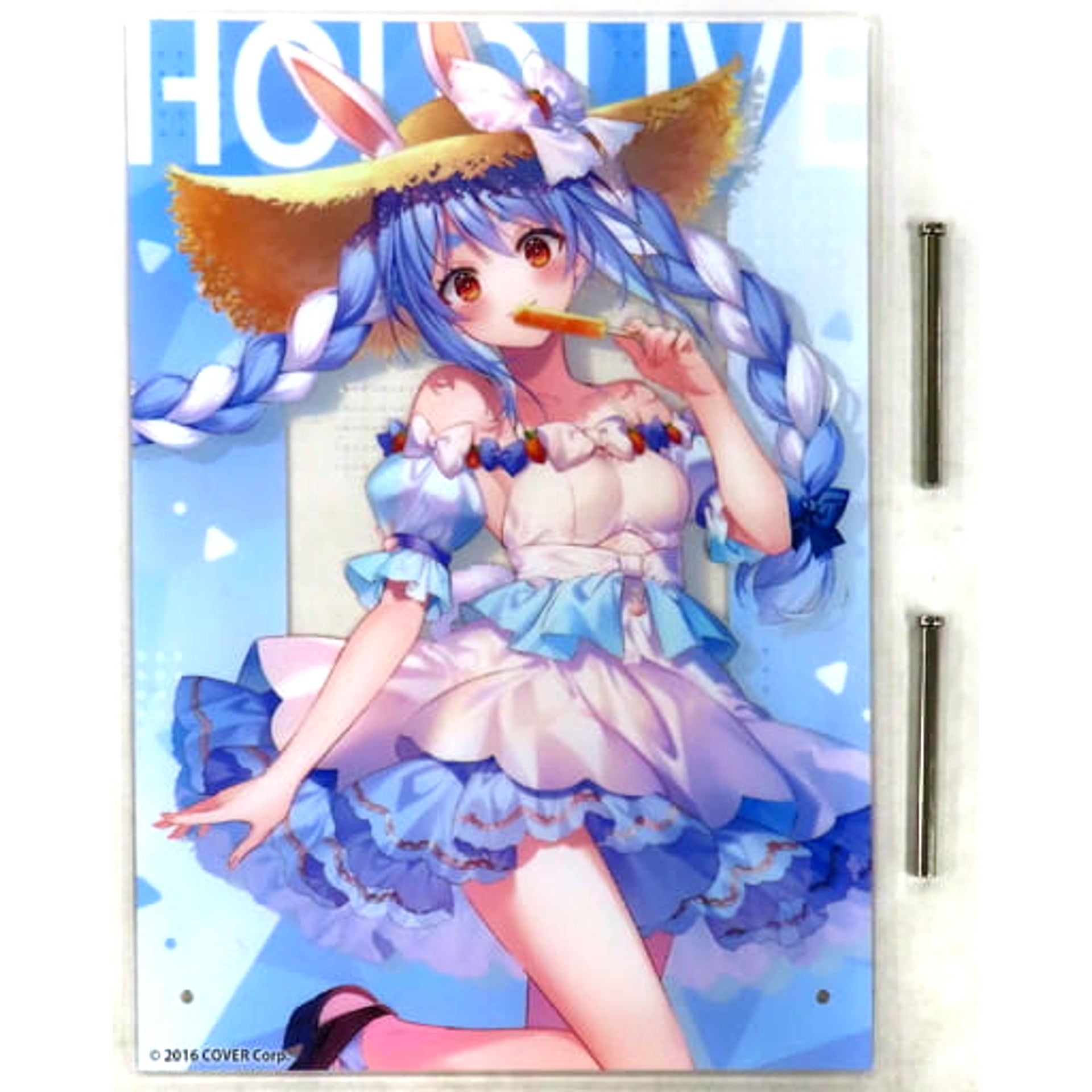 hololive Usada Pekora hololive Acrylic Board Virtual YouTuber hololive GiGO Limited [USED]