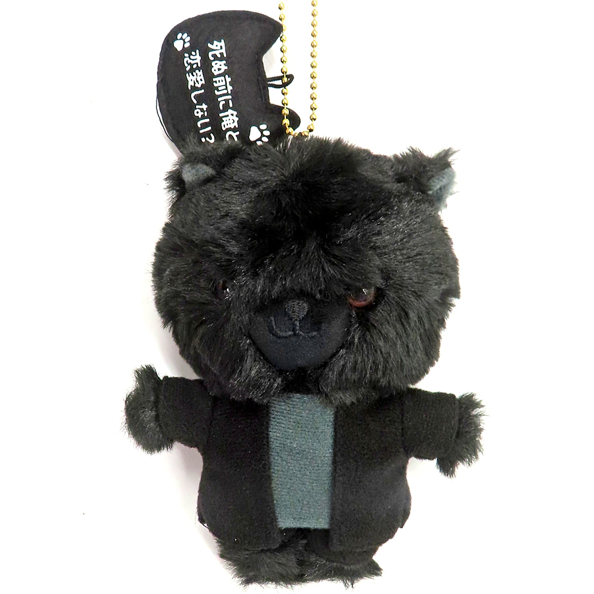 Jin Haiba Costume Black Cat Mascot Tsuiraku JK to Haijin Kyoushi [USED]