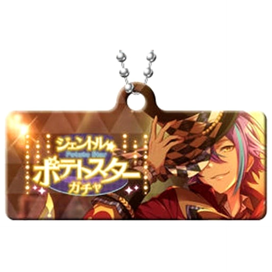 Hatsune Miku: Colorful Stage! Gentle Potato Star Gacha Capsule Metal Banner Keychain Collection Vol.1 Keychains [USED]