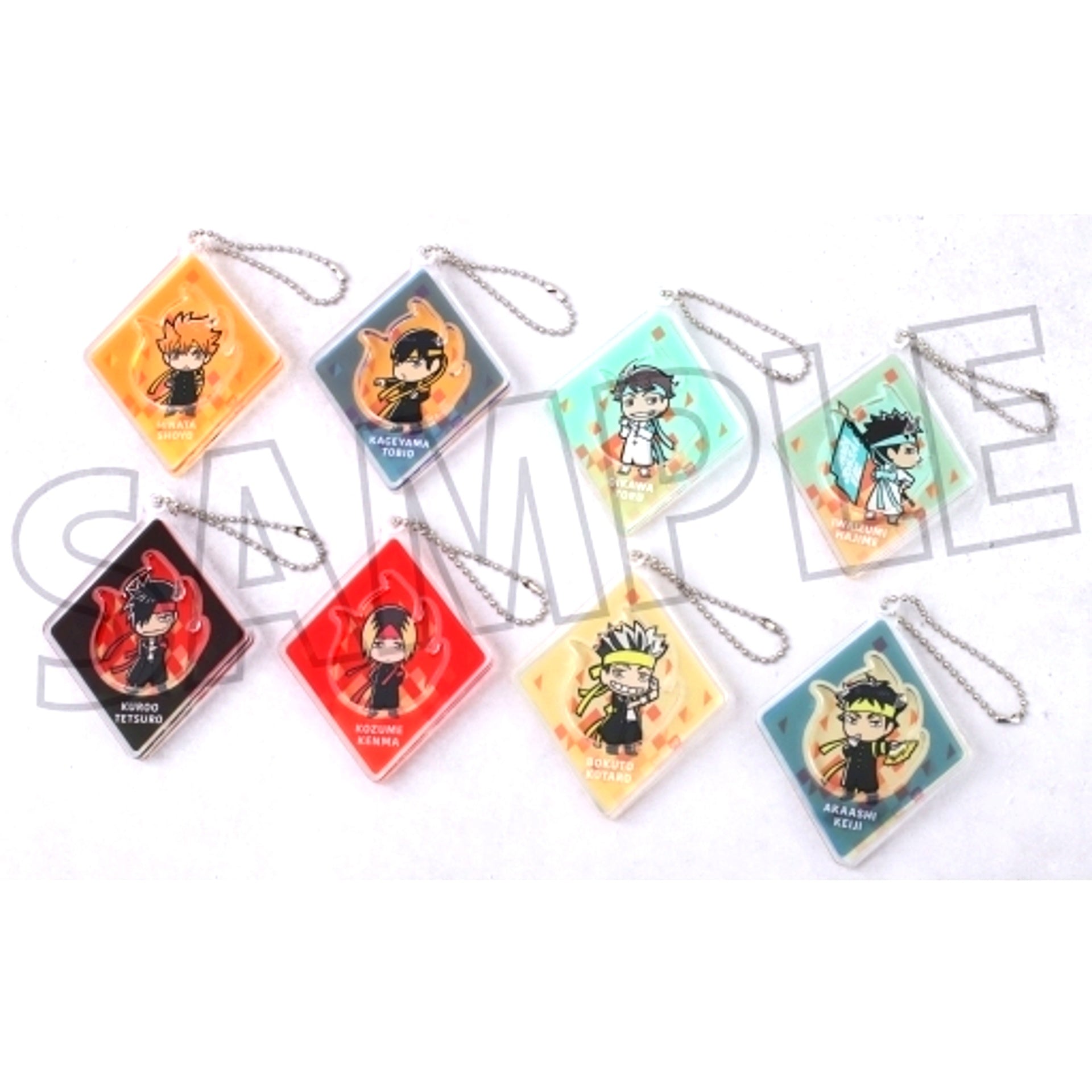 Set of 8 Haikyu!! TO THE TOP Slide Acrylic Keychain Collection Cheering Squad [USED]