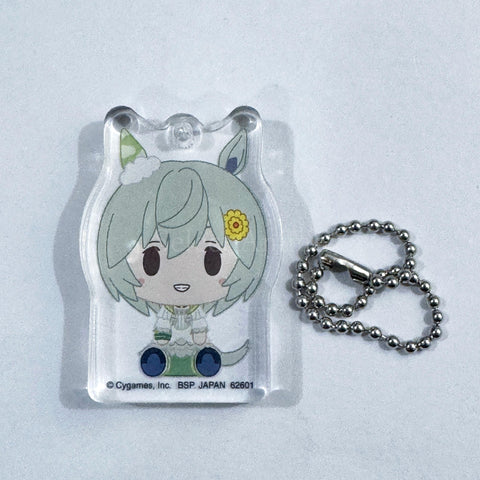 Seiun Sky Umamusume: Pretty Derby Ichiban Kuji 6th Acritz Charm Prize G [USED] — photo 1
