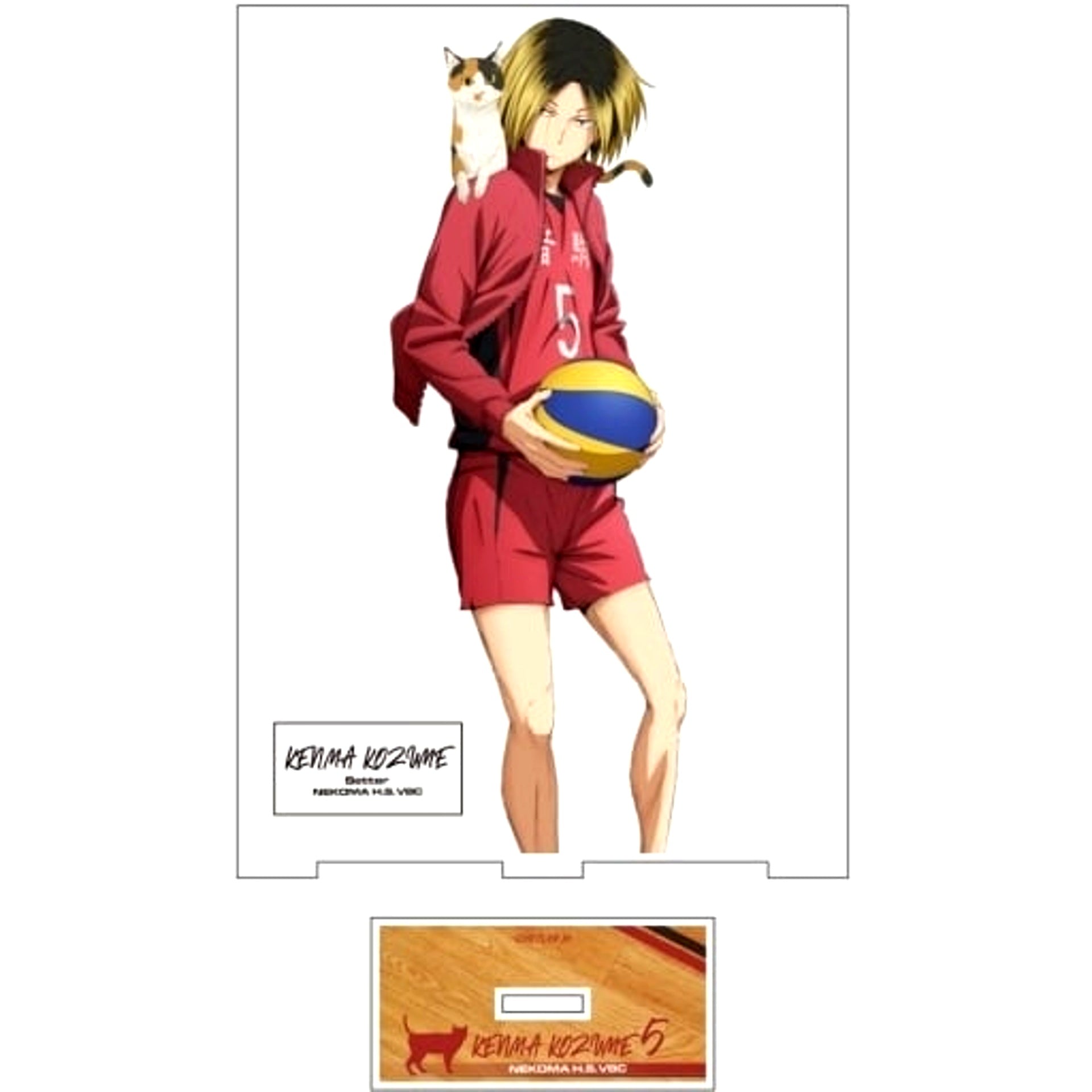 Kenma Kozume Acrylic Stand Large Ver.1.0 Haikyu!! [USED]