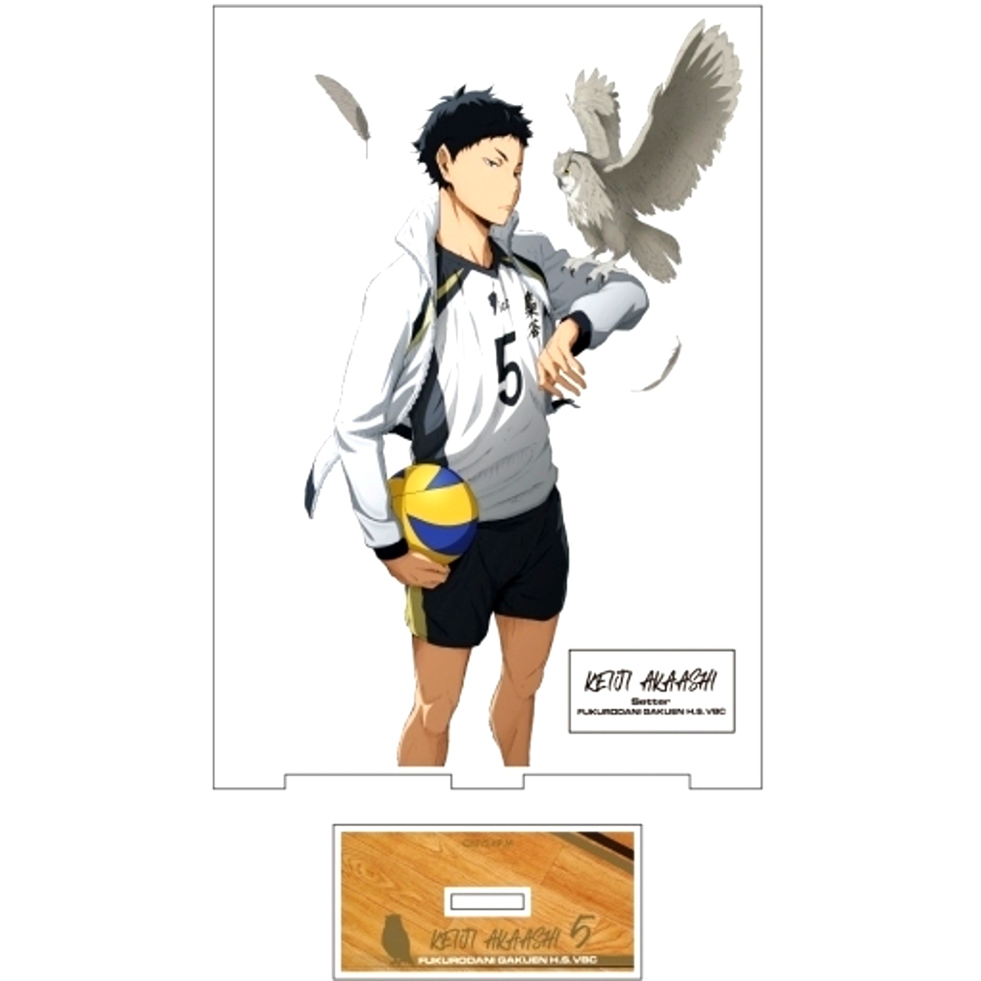 Keiji Akaashi Acrylic Stand Large Ver.1.0 Haikyu!! [USED]
