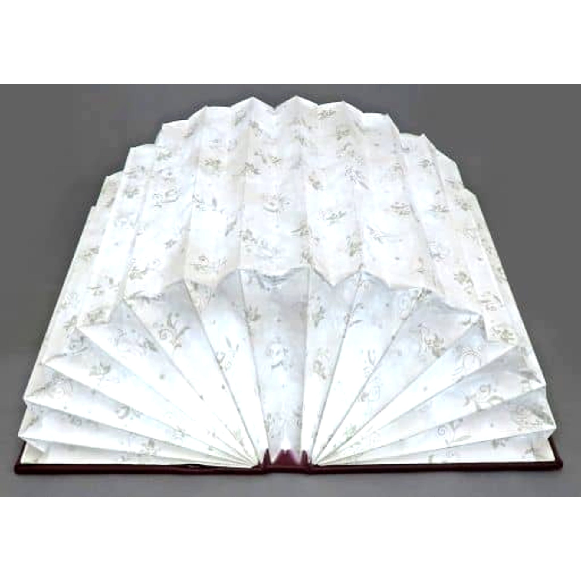 Promise of Wizard Book of the Sage Brown Model Book-shaped Light [USED]