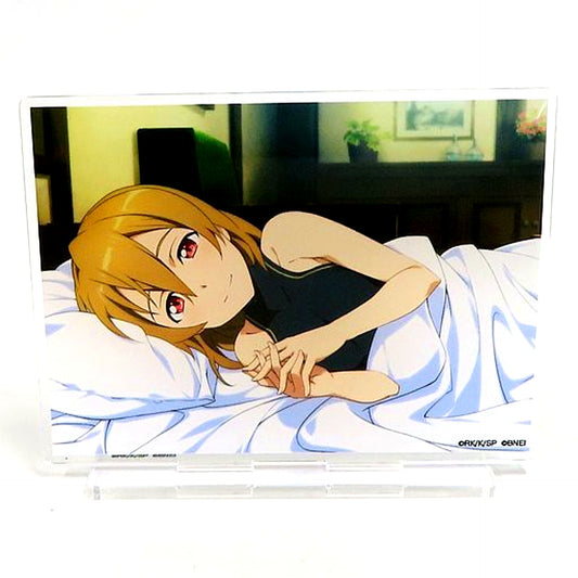 Silica Sleeping Together SAO Game Strategy Meeting 2023 Acrylic Stand Sword Art Online [USED]