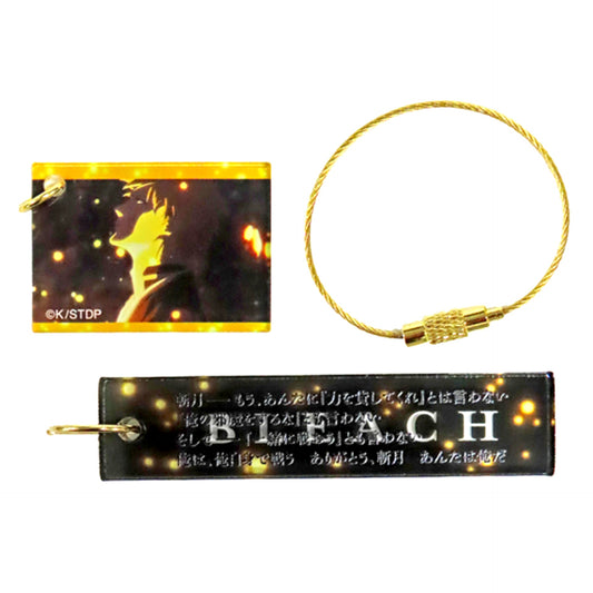 Ichigo Kurosaki Bleach Thousand-Year Blood War ANIME EXHIBITION into the other side Memorial Plate Collection [USED]
