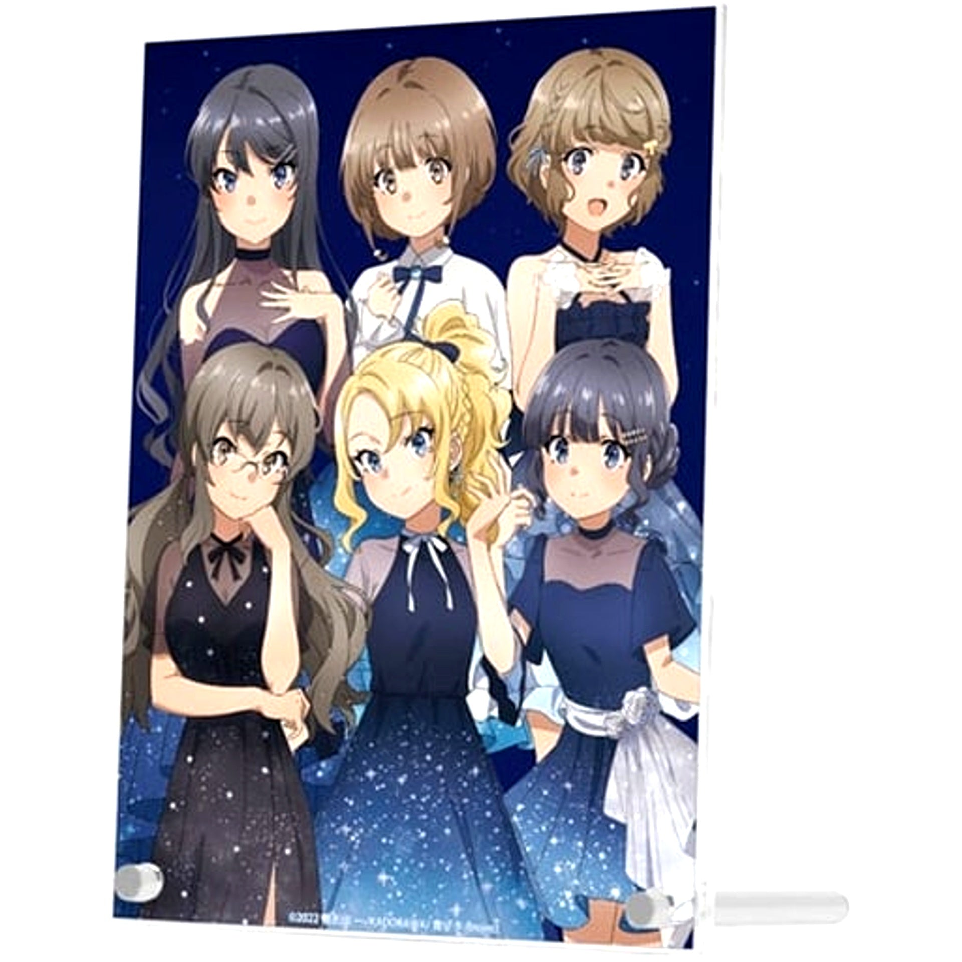 Group Starry Sky Dress Ver. Rascal Does Not Dream of a Sister Venturing Out Animate Fair A5 Acrylic Panel Illustration [USED]