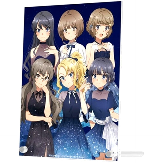 Group Starry Sky Dress Ver. Rascal Does Not Dream of a Sister Venturing Out Animate Fair A5 Acrylic Panel Illustration [USED]