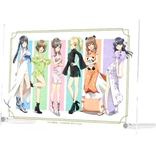 Group Illustration China Dress Ver. A5 Acrylic Panel Rascal Does Not Dream of Bunny Girl Senpai [USED]