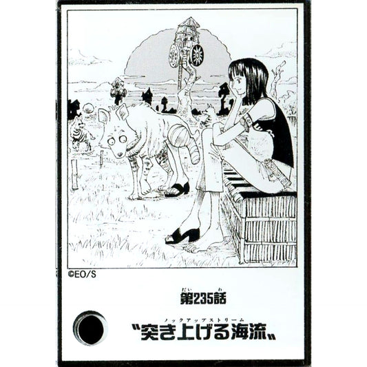 Nico Robin One Piece Acrylic Diorama Collection DOORS! Vol.1 Episode 235 [USED]