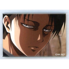 Attack on Titan Levi Ackerman Levi Hyakkei Can Badge Buttons [USED]
