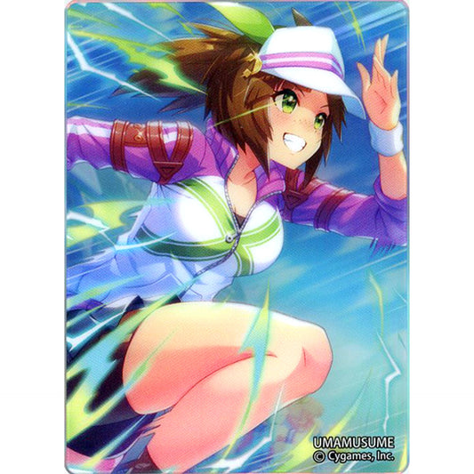 Ines Fujin Noble Art Collection Vol.7 Uma Musume Pretty Derby [USED]