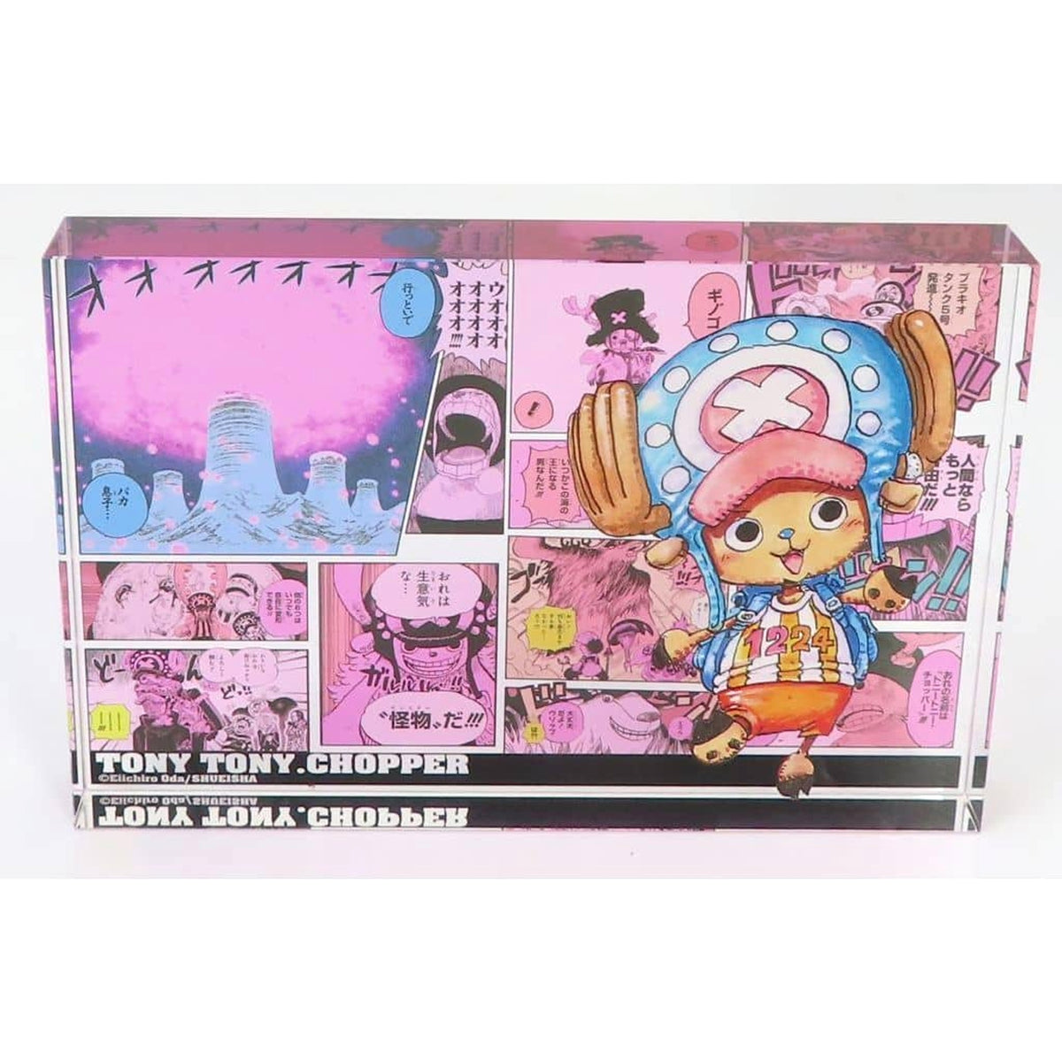 One Piece Tony Tony Chopper Heroes Acrylic Block 2021 Acrylic Item [USED]