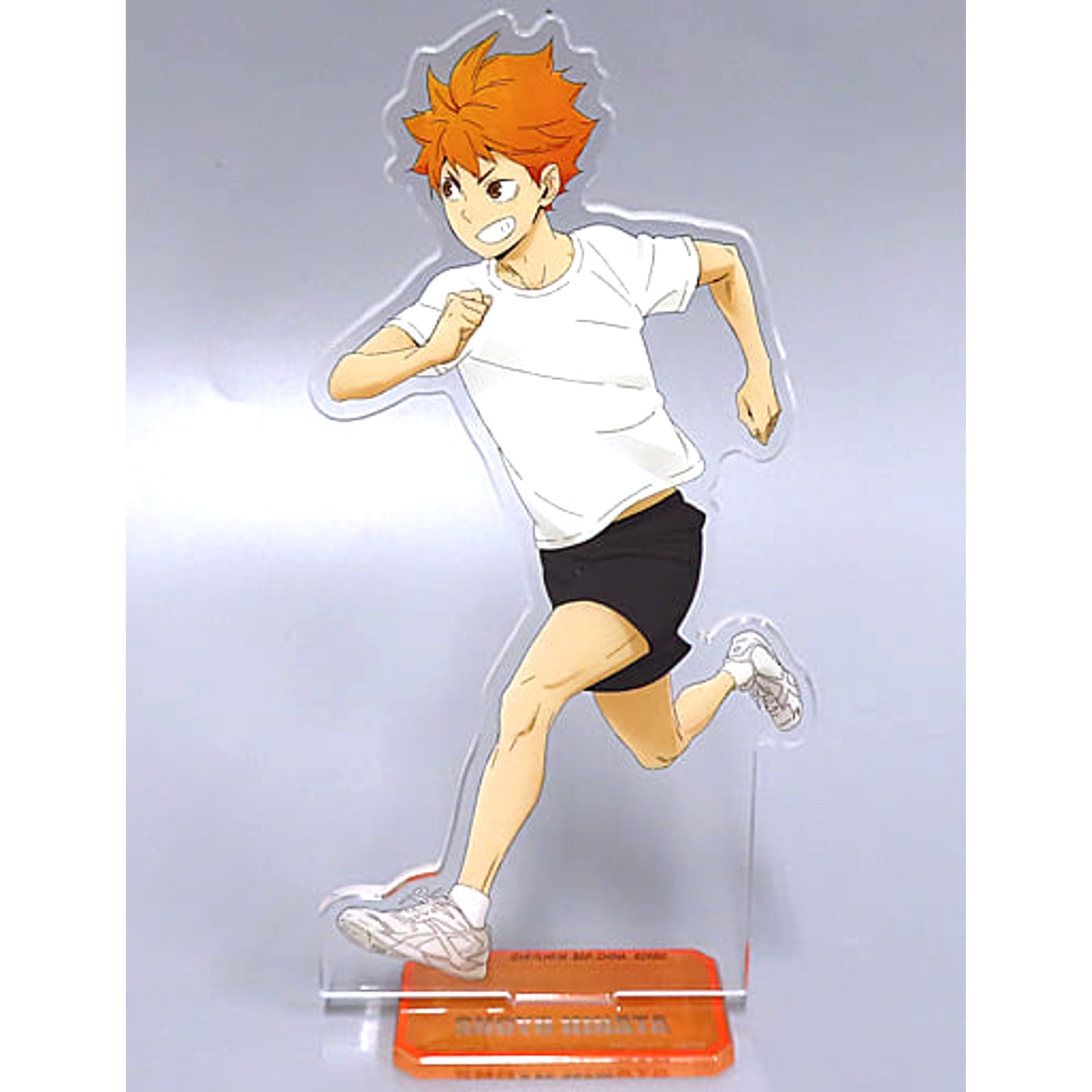 Haikyu!! Shoyo Hinata Ichiban Kuji View from the Summit Acrylic Stand Prize L Acrylic Stands [USED]