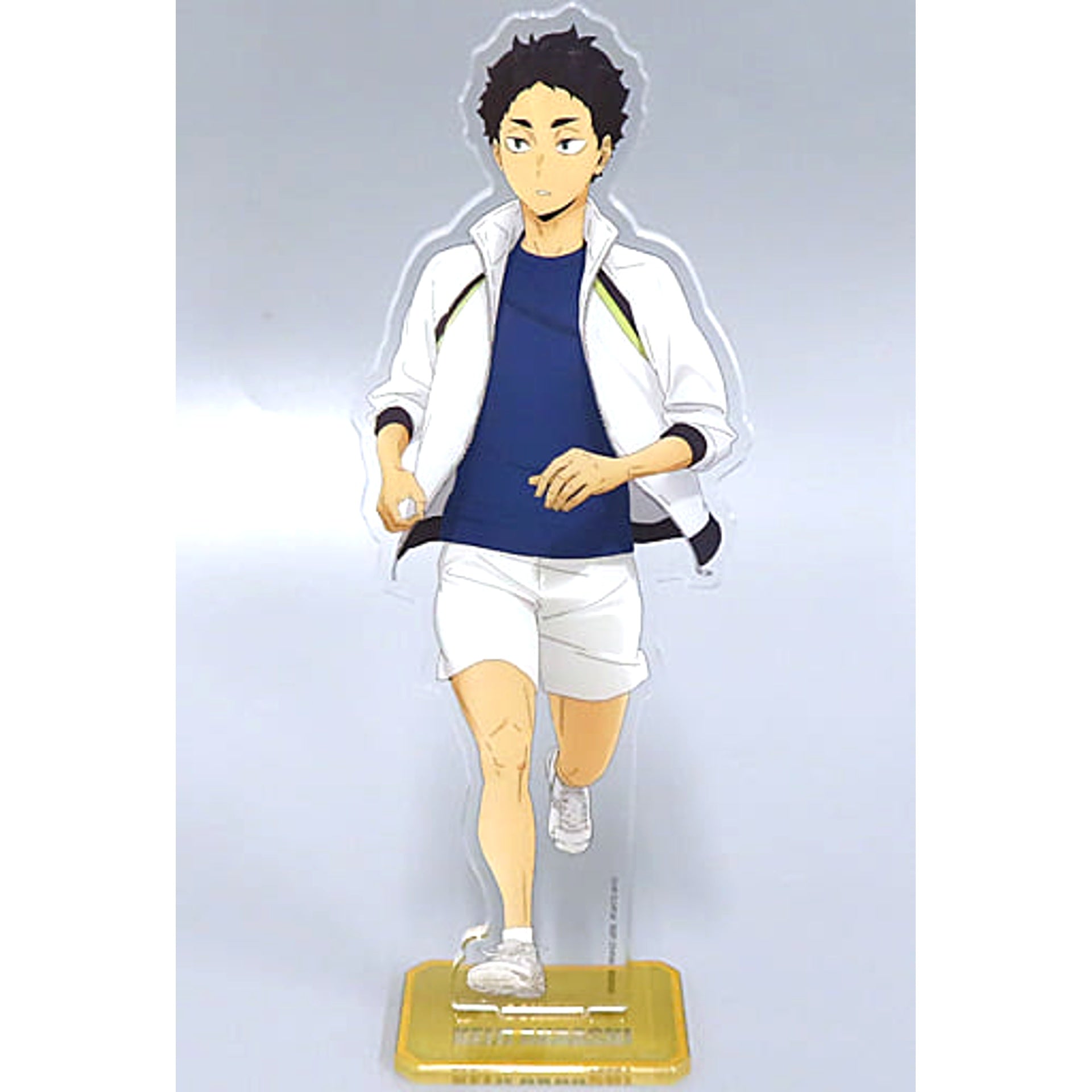 Haikyu!! Keiji Akaashi Ichiban Kuji View from the Summit Acrylic Stand Prize L Acrylic Stands [USED]